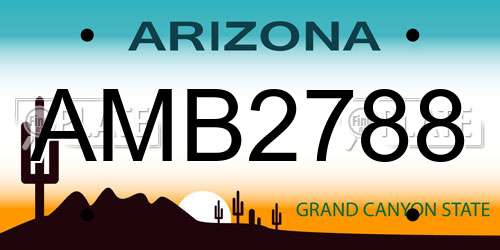 AMB2788 Arizona License Plate