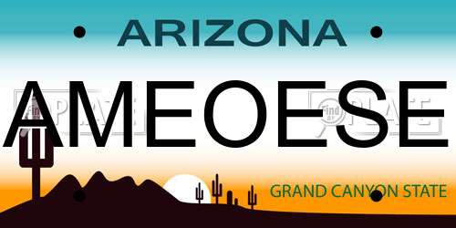 AMEOESE Arizona License Plate