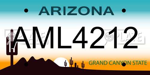 AML4212 Arizona License Plate