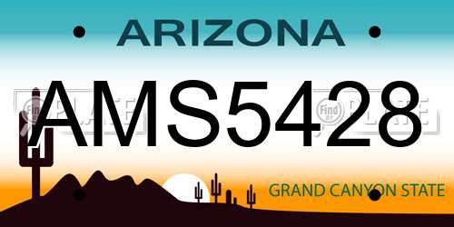 AMS5428 Arizona License Plate