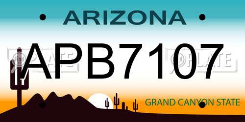 APB7107 Arizona License Plate