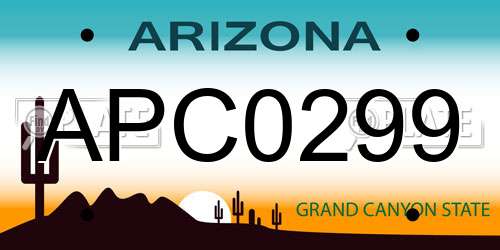 APC0299 Arizona License Plate