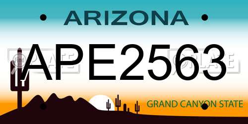 APE2563 Arizona License Plate