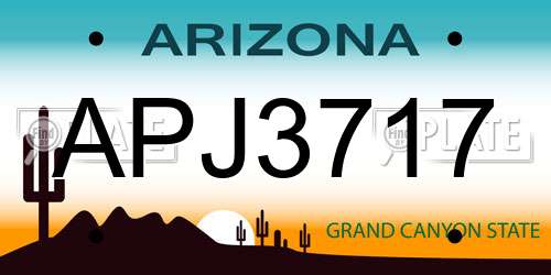 APJ3717 Arizona License Plate