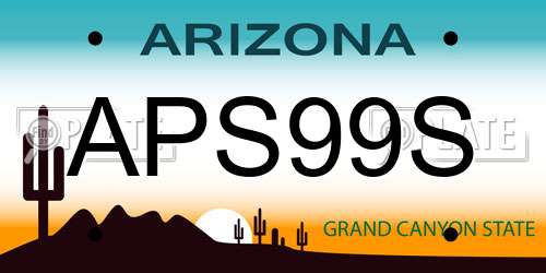 APS99S Arizona License Plate