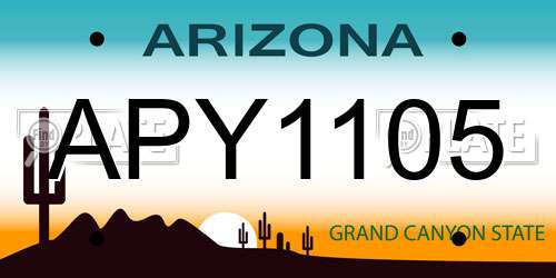 APY1105 Arizona License Plate