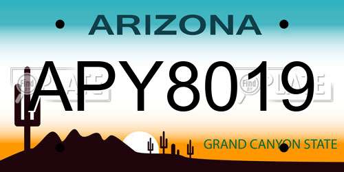 APY8019 Arizona License Plate