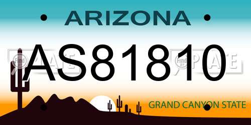 AS81810 Arizona License Plate