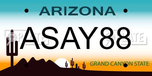 ASAY88 Arizona License Plate