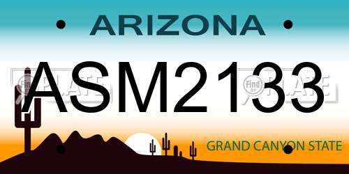 ASM2133 Arizona License Plate