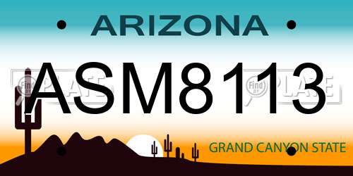 ASM8113 Arizona License Plate