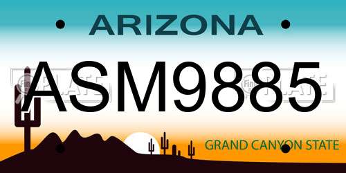 ASM9885 Arizona License Plate