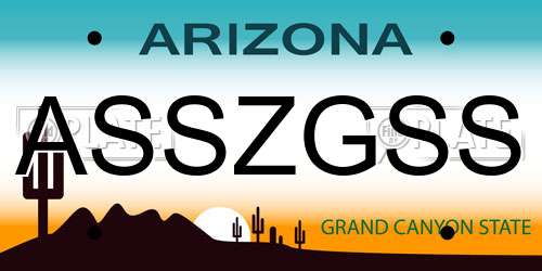 ASSZGSS Arizona License Plate