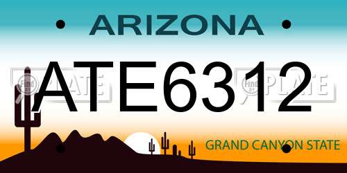 ATE6312 Arizona License Plate