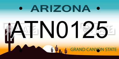 ATN0125 Arizona License Plate