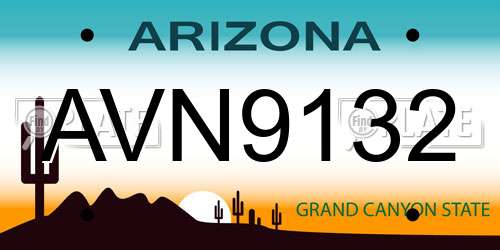 AVN9132 Arizona License Plate