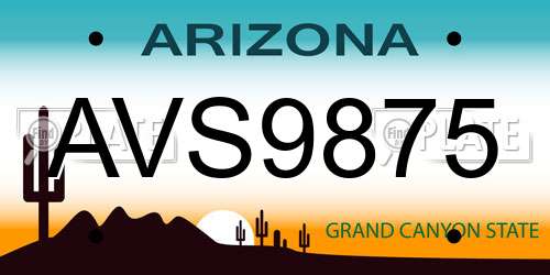 AVS9875 Arizona License Plate