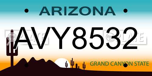 AVY8532 Arizona License Plate