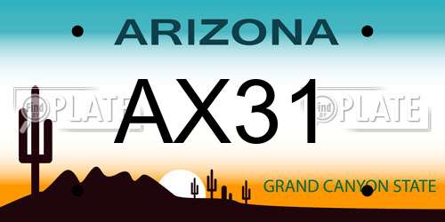 AX31 Arizona License Plate