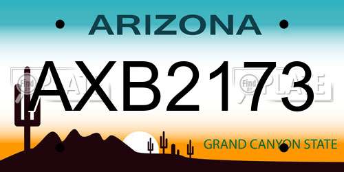 AXB2173 Arizona License Plate