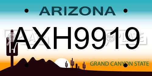 AXH9919 Arizona License Plate