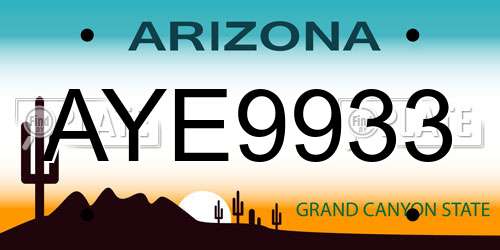 AYE9933 Arizona License Plate