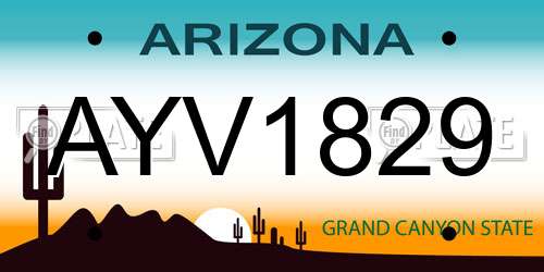 AYV1829 Arizona License Plate