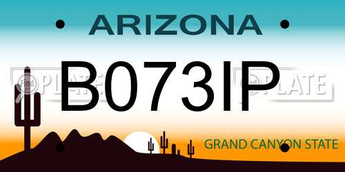 B073IP Arizona License Plate