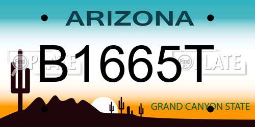 B1665T Arizona License Plate