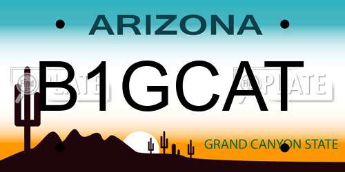 B1GCAT Arizona License Plate