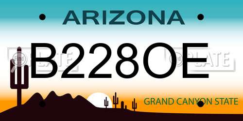 B228OE Arizona License Plate