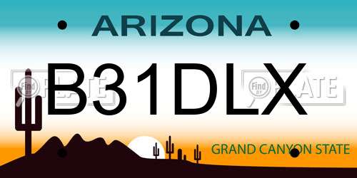B31DLX Arizona License Plate