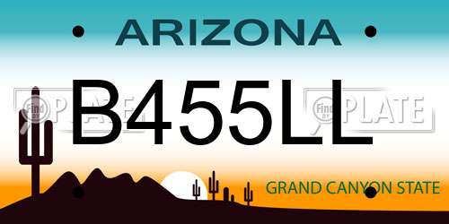 B455LL Arizona License Plate