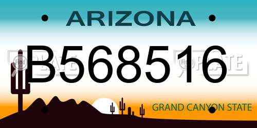 B568516 Arizona License Plate