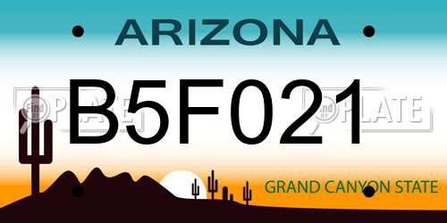 B5F021 Arizona License Plate