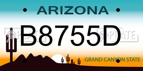 B8755D Arizona License Plate