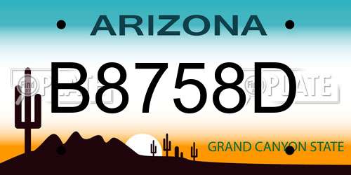 B8758D Arizona License Plate