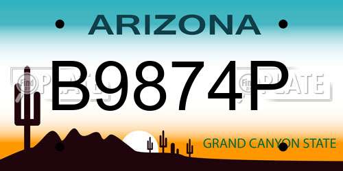 B9874P Arizona License Plate