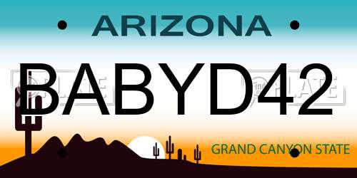 BABYD42 Arizona License Plate