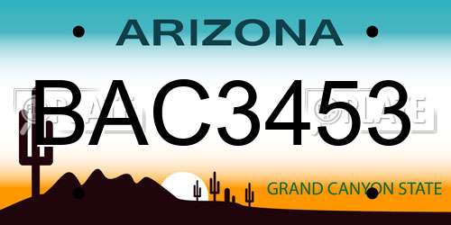 BAC3453 Arizona License Plate
