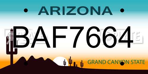 BAF7664 Arizona License Plate