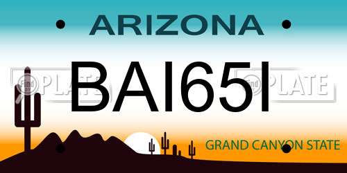 BAI65I Arizona License Plate