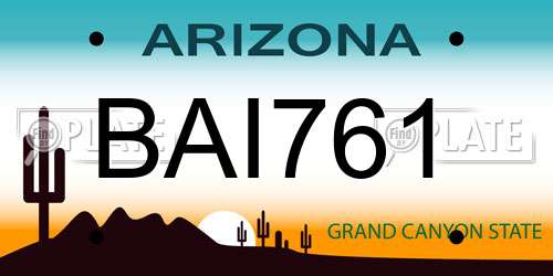 BAI761 Arizona License Plate