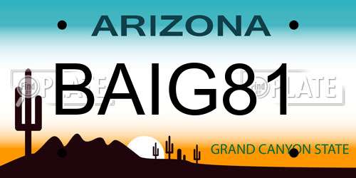 BAIG81 Arizona License Plate