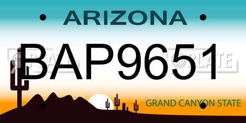 BAP9651 Arizona License Plate