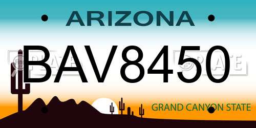 BAV8450 Arizona License Plate