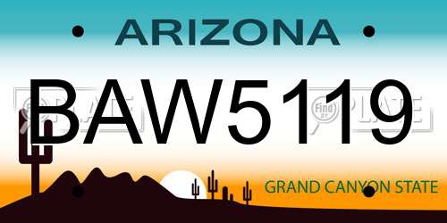 BAW5119 Arizona License Plate