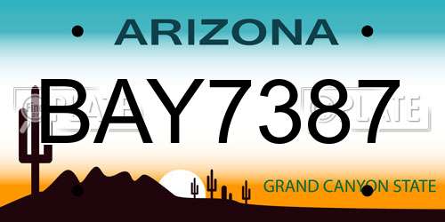 BAY7387 Arizona License Plate