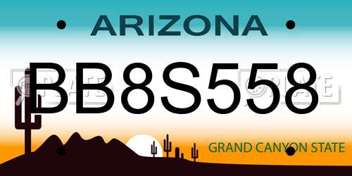 BB8S558 Arizona License Plate
