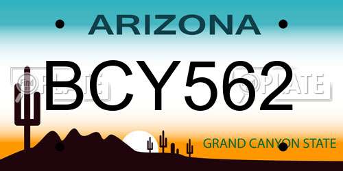 BCY562 Arizona License Plate